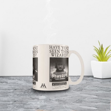 Lot de 4 mugs Harry Potter thermoréactifs