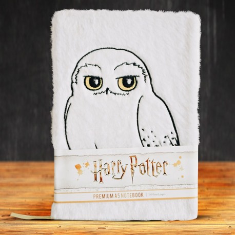 Carnet de Notes Harry Potter Personnages 3D sur Cadeaux et Anniversaire